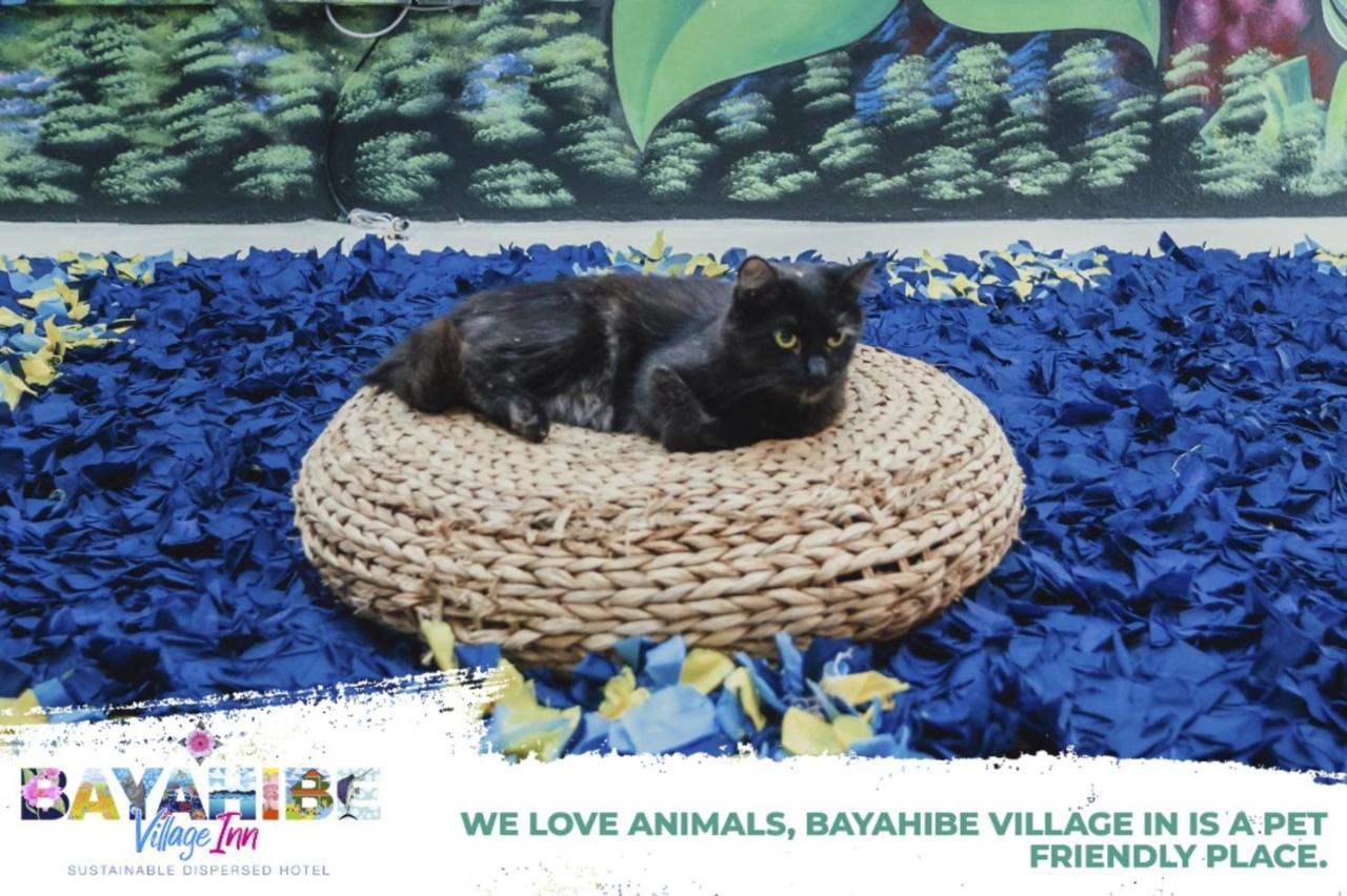 Bayahibe Village Inn Экстерьер фото